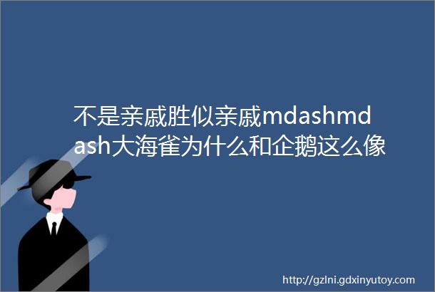 不是亲戚胜似亲戚mdashmdash大海雀为什么和企鹅这么像